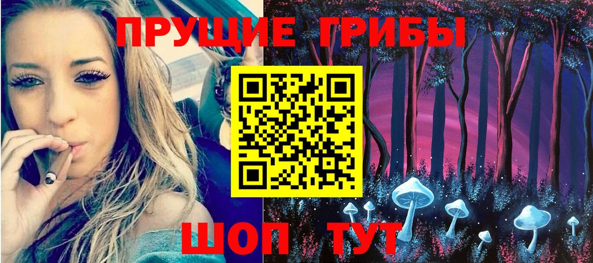 Шатура  Галлюциногенные грибы GOLDEN TEACHER  Вход с VPN 
