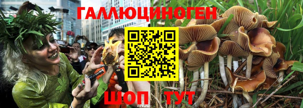 Псилоцибиновые грибы Magic Shrooms Шатура